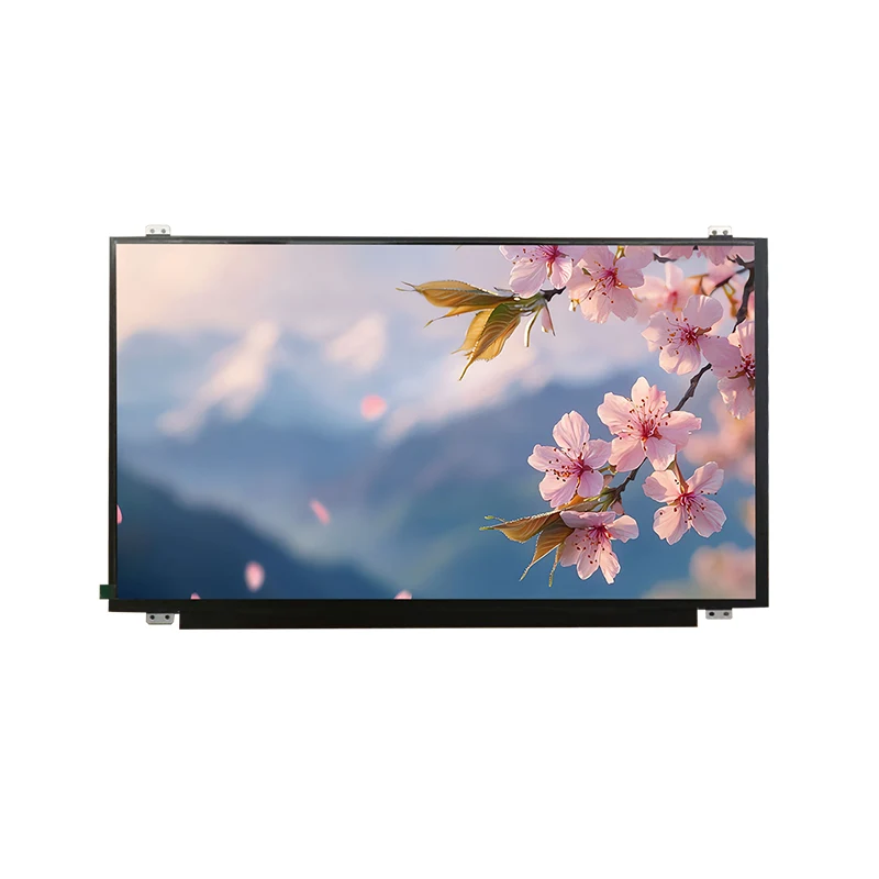 15.6 'HD široká teplota IPS TFT LCD Screen Modul