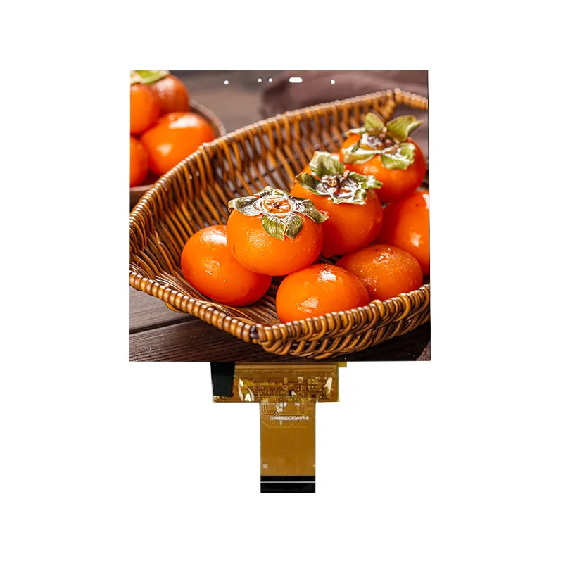 3,95palcový malý IPS modul dotykové obrazovky pro inteligentní domácnost 3,95palcový malý IPS modul dotykové obrazovky pro inteligentní domácnost