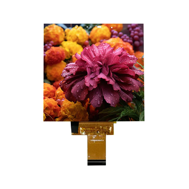 3,95palcový nízkoenergetický 500 nitový IPS modul tenkého in-buňkového dotykového displeje 3,95palcový nízkoenergetický 500 nitový IPS modul tenkého in-buňkového dotykového displeje