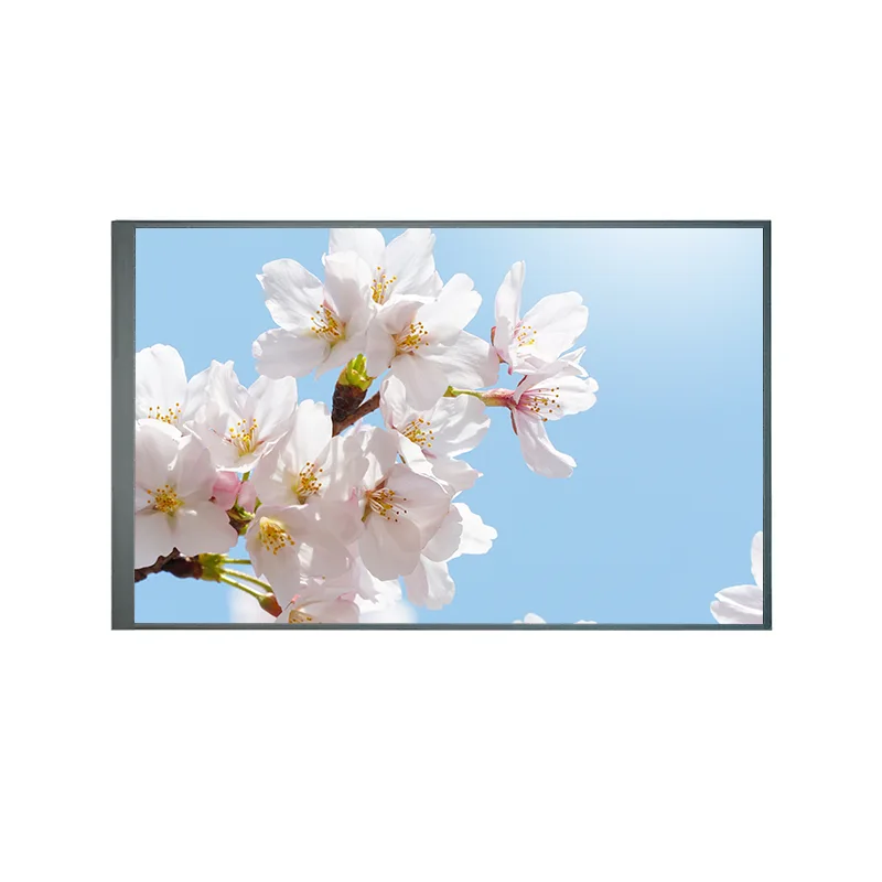 8,0 palce obvykle zpět TFT IPS TFT LCD Screen Modul